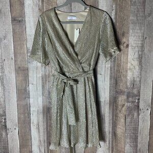 Anthropologie Waverly Grey Fante Shimmer Mini Dress